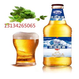 500毫升大瓶便宜啤酒招商