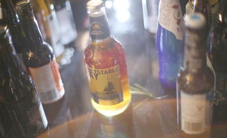 进口荷兰啤酒报关