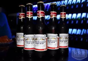 怎么喝 怎么玩 畅爽攻略送给各位小主