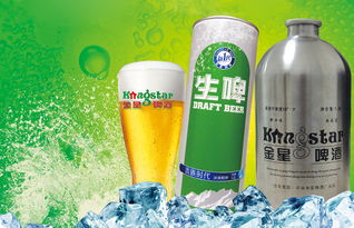 商丘金星啤酒代理批发