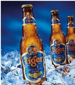 蓝虎牌啤酒批发代理全解析 厂家、价格与市场机遇